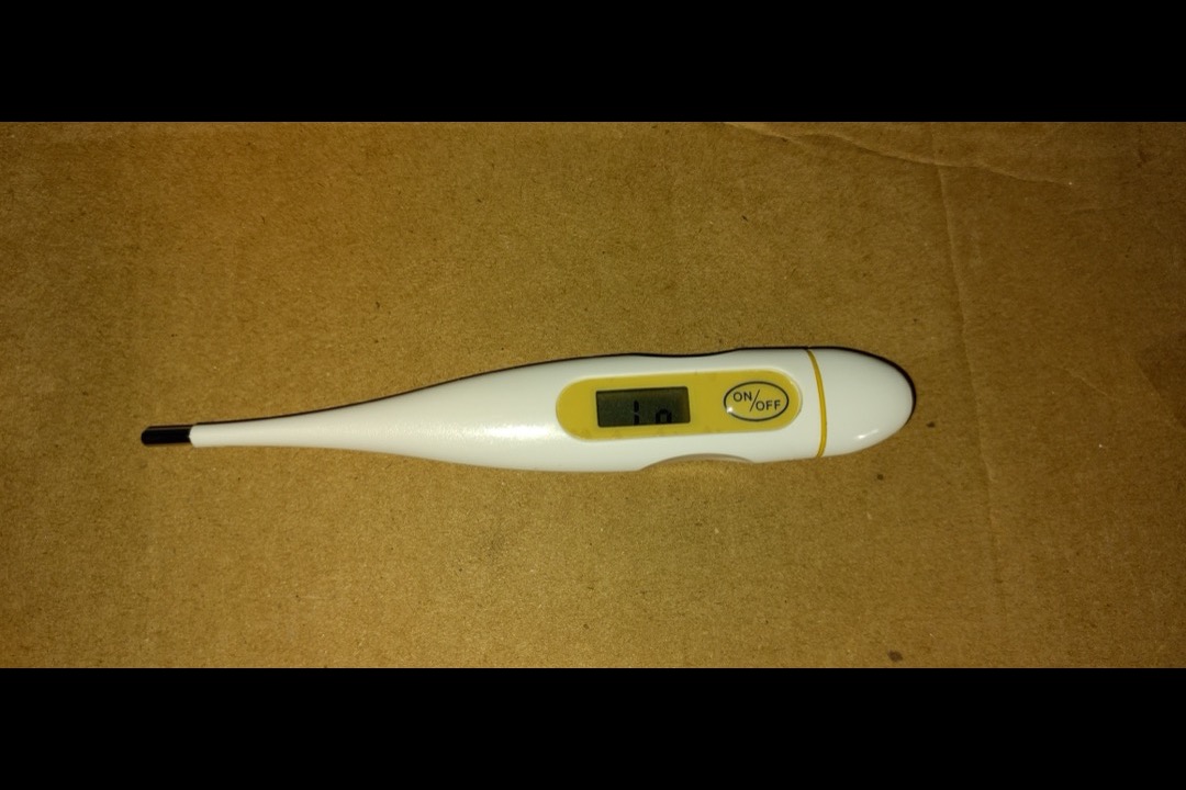 Best thermometers for adults of 2026 — ear, oral, forehead, and smart models reviewed by a physician