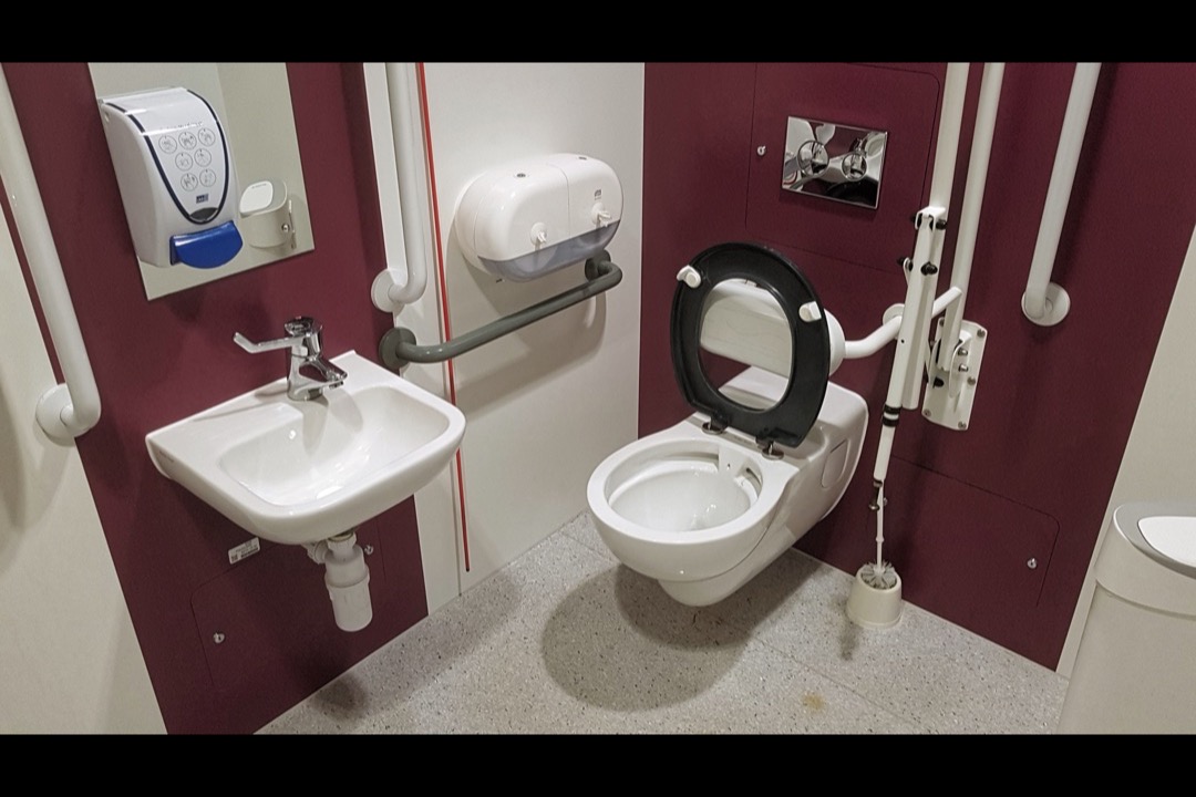 Bathroom grab bars installed beside a toilet and tub — the single highest-leverage home modification for preventing falls in older adults